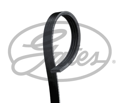 New ribbed belt for - new, rover