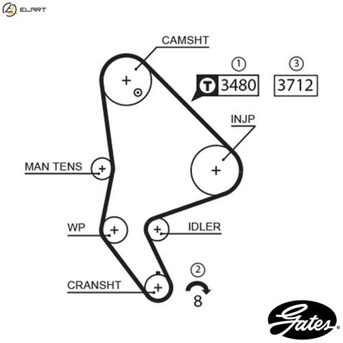 Timing belt 5590xs for peugeot - for,