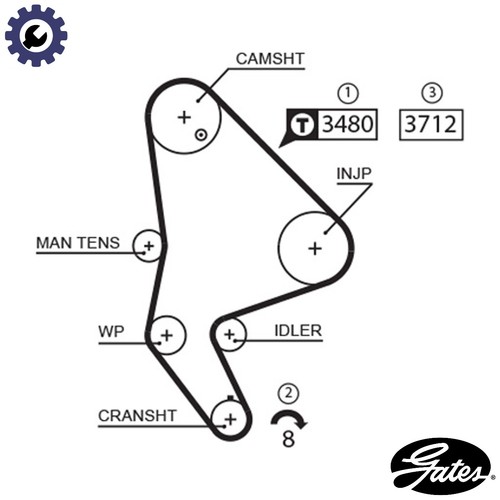Timing belt 5590xs for peugeot - belt,