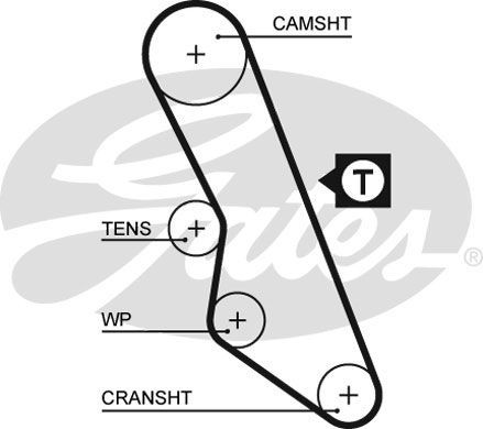 Gates timing belt water - timing, belt/water