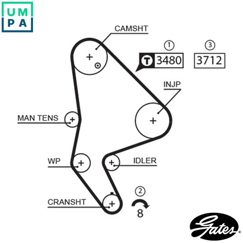 Timing belt 5590xs - timing, for